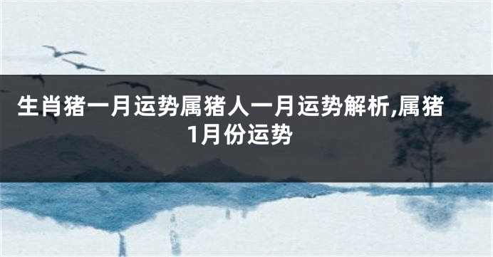 生肖猪一月运势属猪人一月运势解析,属猪1月份运势