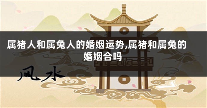 属猪人和属兔人的婚姻运势,属猪和属兔的婚姻合吗