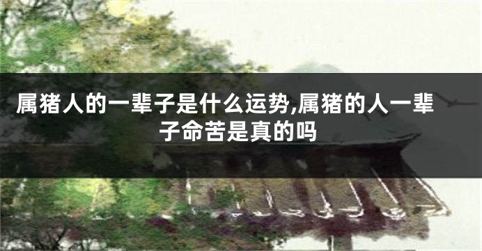 属猪人的一辈子是什么运势,属猪的人一辈子命苦是真的吗