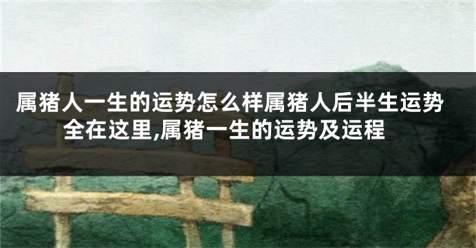 属猪人一生的运势怎么样属猪人后半生运势全在这里,属猪一生的运势及运程