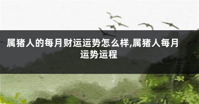属猪人的每月财运运势怎么样,属猪人每月运势运程