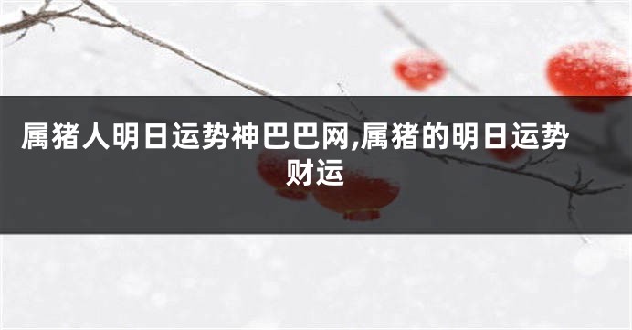 属猪人明日运势神巴巴网,属猪的明日运势财运