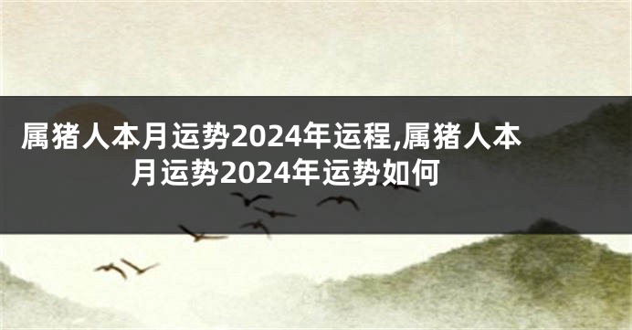 属猪人本月运势2024年运程,属猪人本月运势2024年运势如何