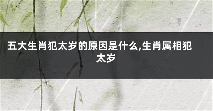 五大生肖犯太岁的原因是什么,生肖属相犯太岁