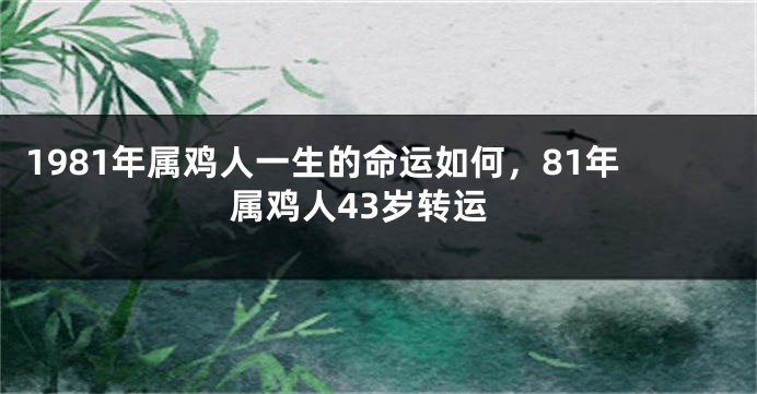 1981年属鸡人一生的命运如何，81年属鸡人43岁转运