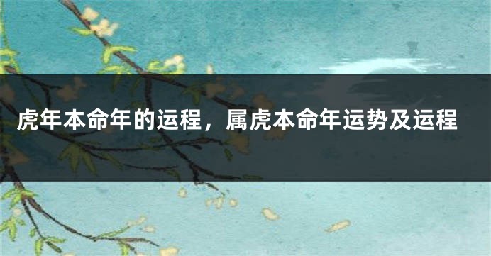 虎年本命年的运程，属虎本命年运势及运程