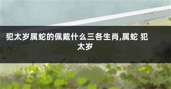 犯太岁属蛇的佩戴什么三各生肖,属蛇 犯太岁