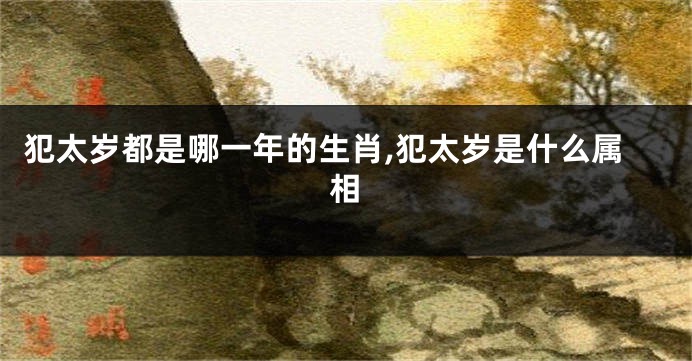 犯太岁都是哪一年的生肖,犯太岁是什么属相
