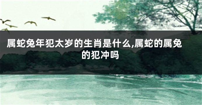 属蛇兔年犯太岁的生肖是什么,属蛇的属兔的犯冲吗