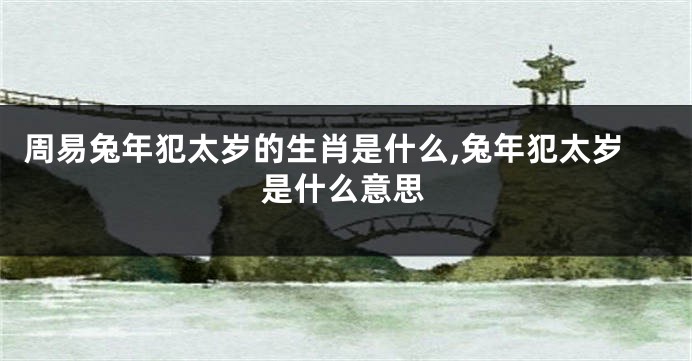 周易兔年犯太岁的生肖是什么,兔年犯太岁是什么意思