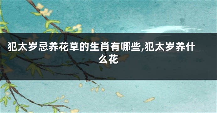 犯太岁忌养花草的生肖有哪些,犯太岁养什么花