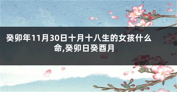 癸卯年11月30日十月十八生的女孩什么命,癸卯日癸酉月