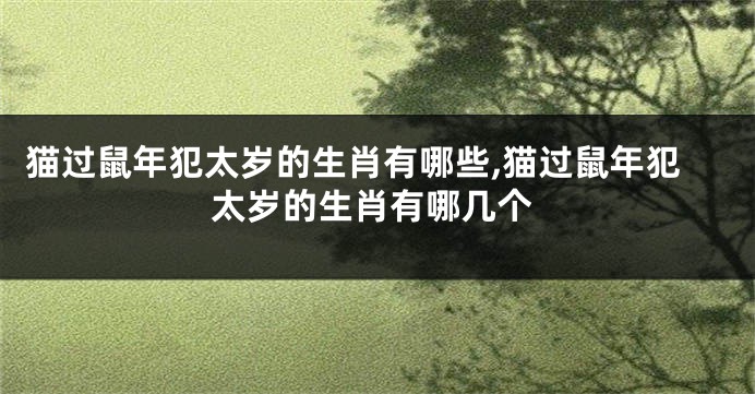 猫过鼠年犯太岁的生肖有哪些,猫过鼠年犯太岁的生肖有哪几个
