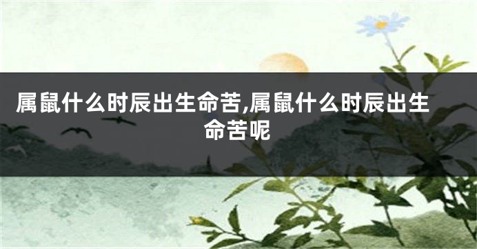 属鼠什么时辰出生命苦,属鼠什么时辰出生命苦呢