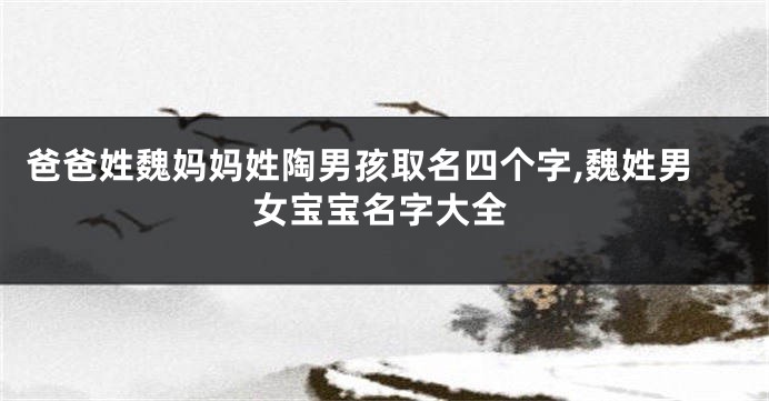 爸爸姓魏妈妈姓陶男孩取名四个字,魏姓男女宝宝名字大全