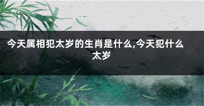 今天属相犯太岁的生肖是什么,今天犯什么太岁