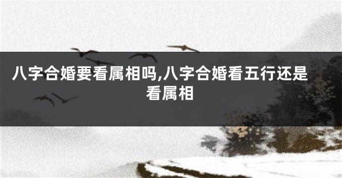 八字合婚要看属相吗,八字合婚看五行还是看属相