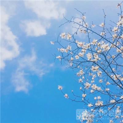 华体会登录手机版app下载截图