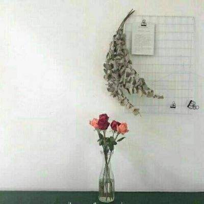 乐鱼app手机app下载
